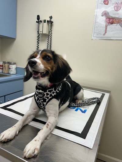 The Pet Clinic of Martinsville